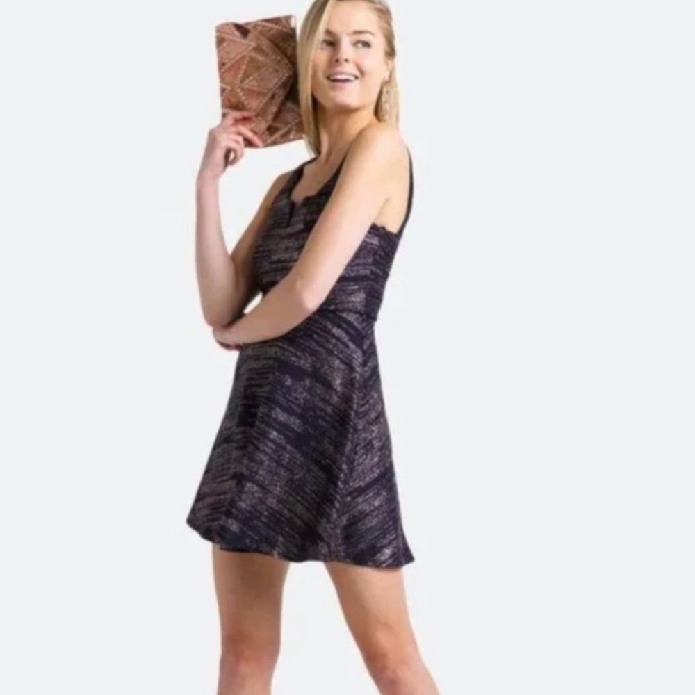 Francesca’s NWT Josie Glitter Dress